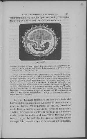 459