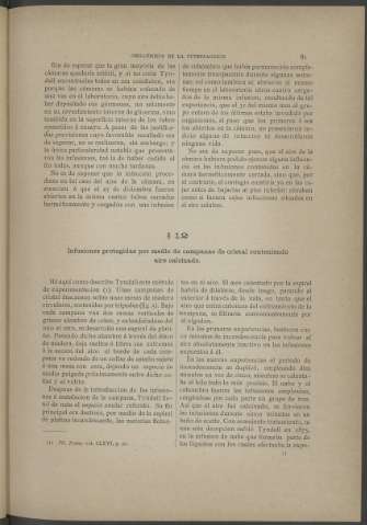 81