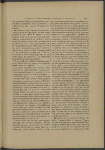 245