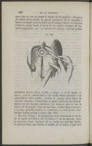 490