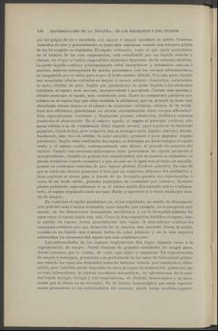 144