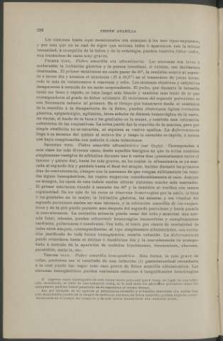 256
