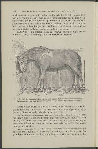 146