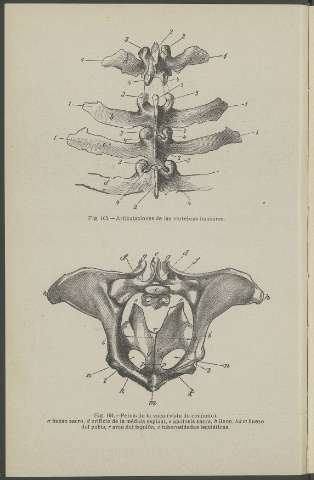 162