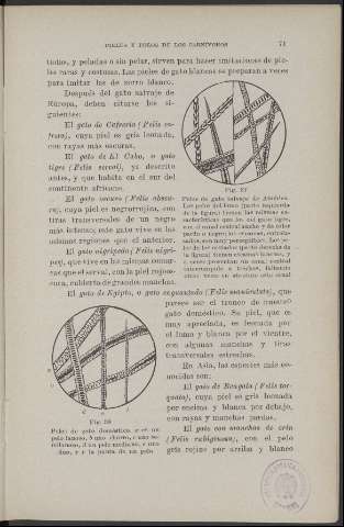 71