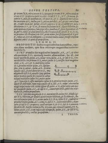 81