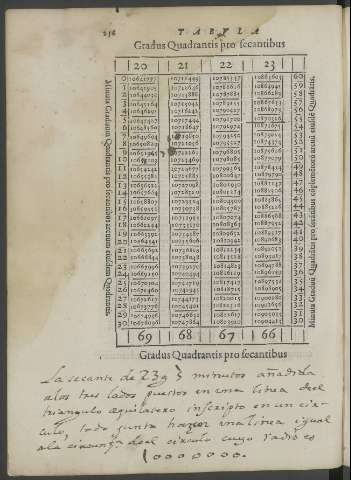 256