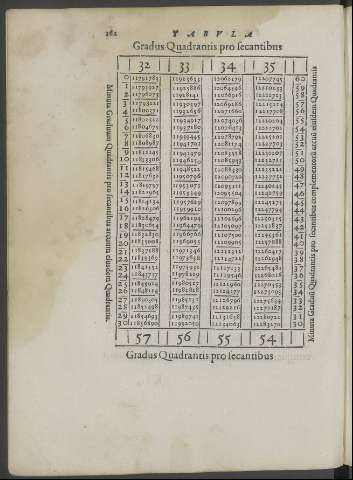262