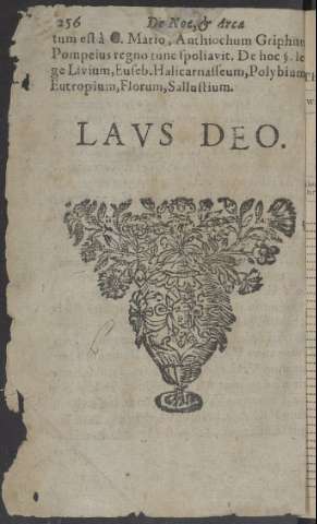 256