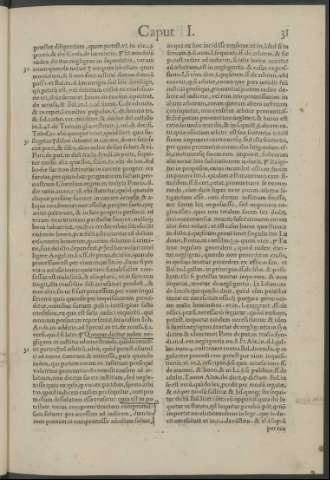 31r