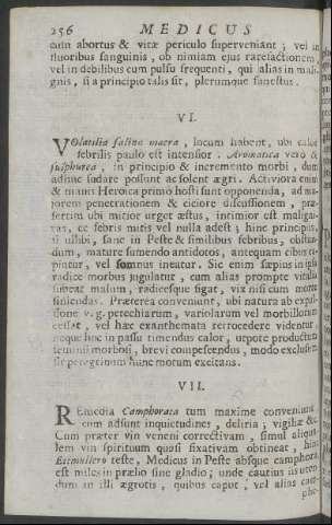 256