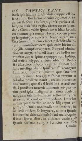 126
