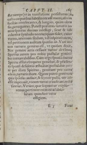 165