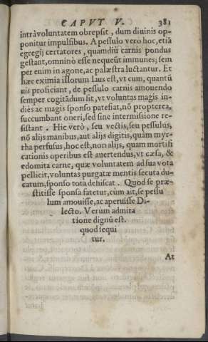 381