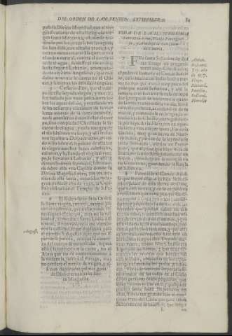 81