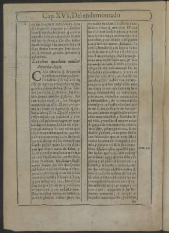 293v