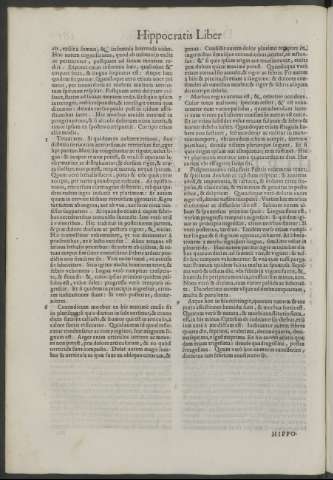 161v
