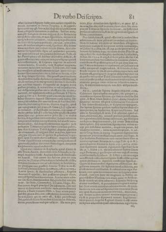 81