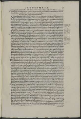 38r