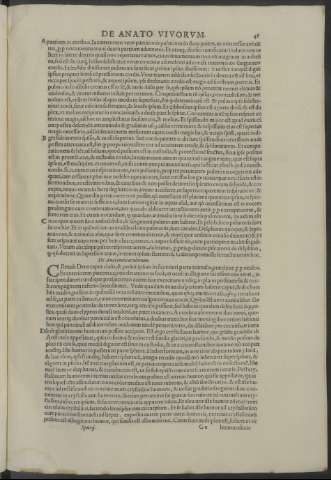 49r