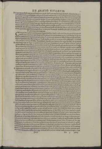 51r