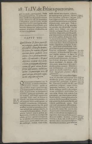 28