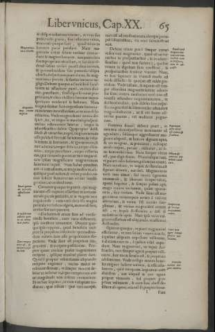65
