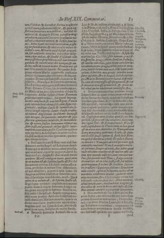 81