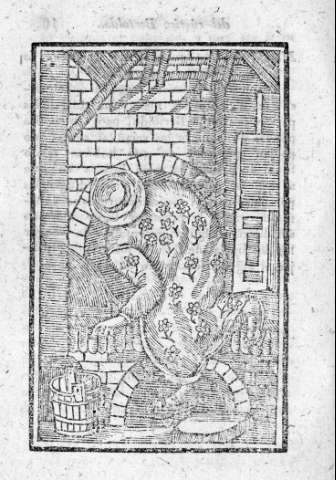 110