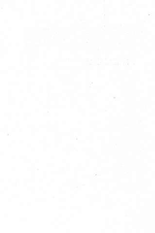 80
