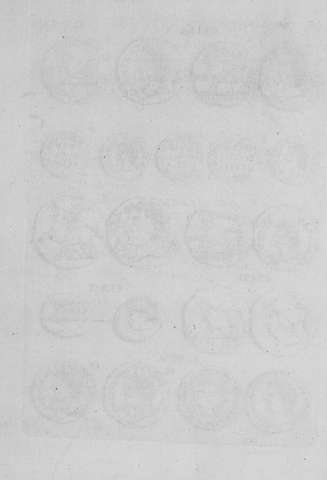 Tab.XIXv