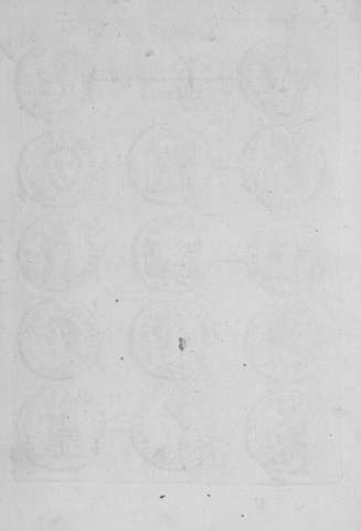 Tab.XXIv