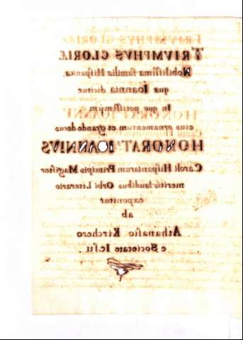 384v