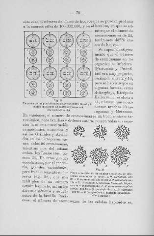 70