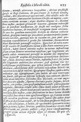 293