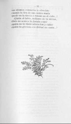 91