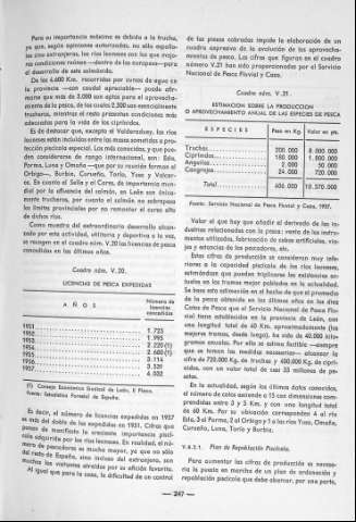 247
