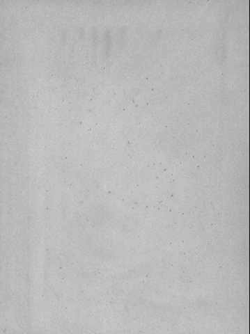 [Guarda]