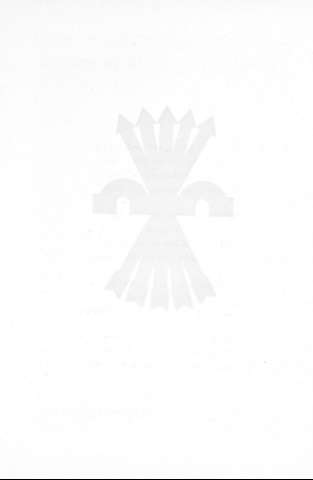 3v
