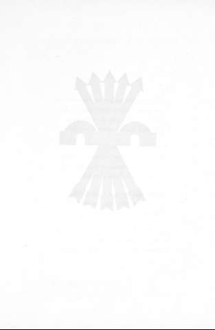 4v