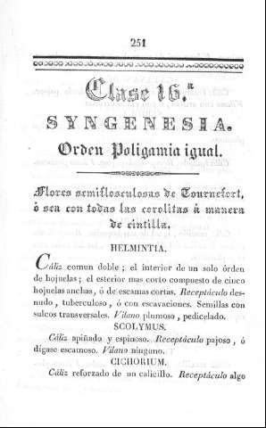 251
