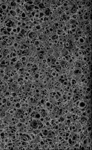 [Guarda]