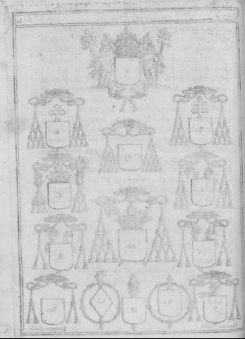 Lam. Iv