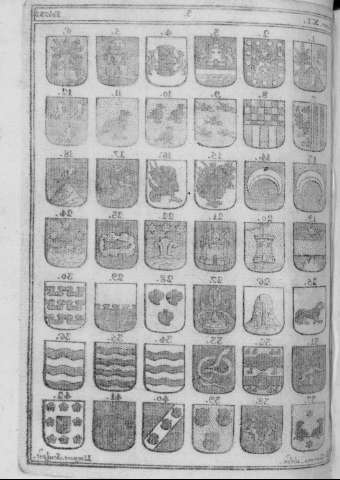 Lam. XIv
