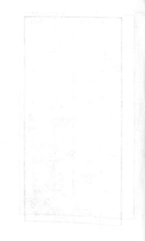 Lam.15v