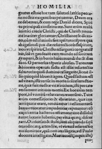 131v