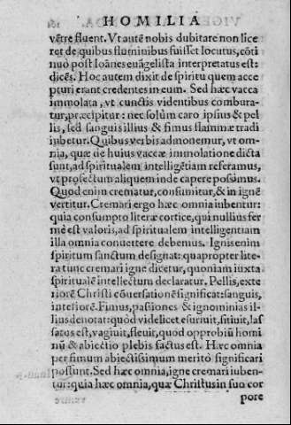 161v