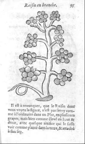 95