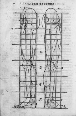 11v
