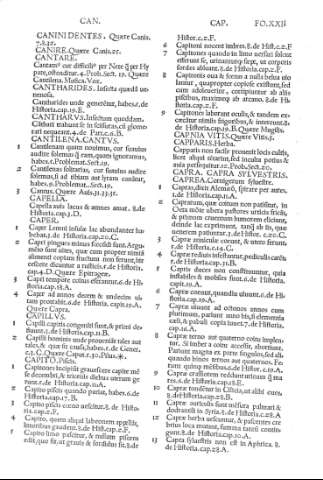 Fol.XXIIr